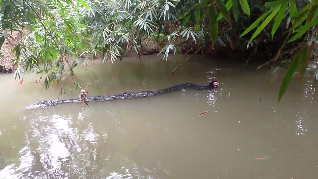 Hantu banyu ngamuk di sore hari yg mau mandi has pada