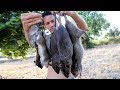 PRIMITIVE TECHNOLOGY : FIND GIANT RAT  BY HAND IN FOREST _ ROASTED MOUSE RECIPE EATING DELICIOUS