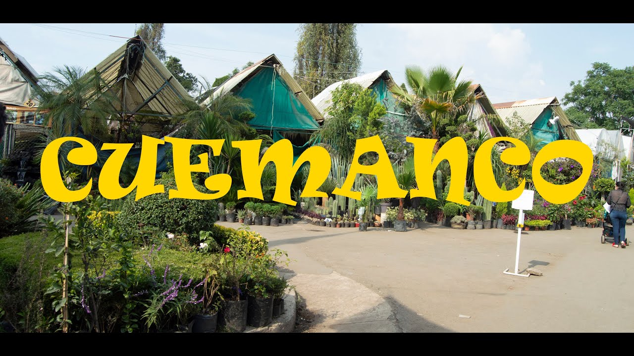 Mercado de plantas CUEMANCO XOCHIMILCO
