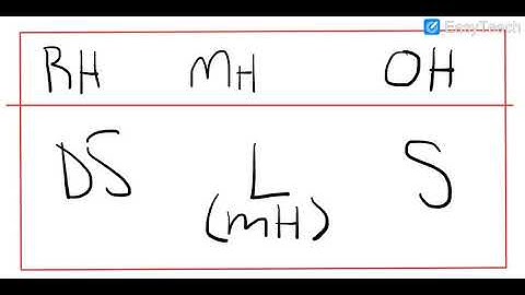 Life of a Libero: 6-2 Rotation