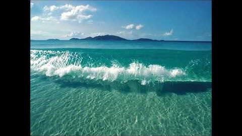 سورة المسد .. الشيخ وليد عاطف