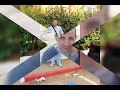 Chabet El Ameur رحمة الله عليهم 