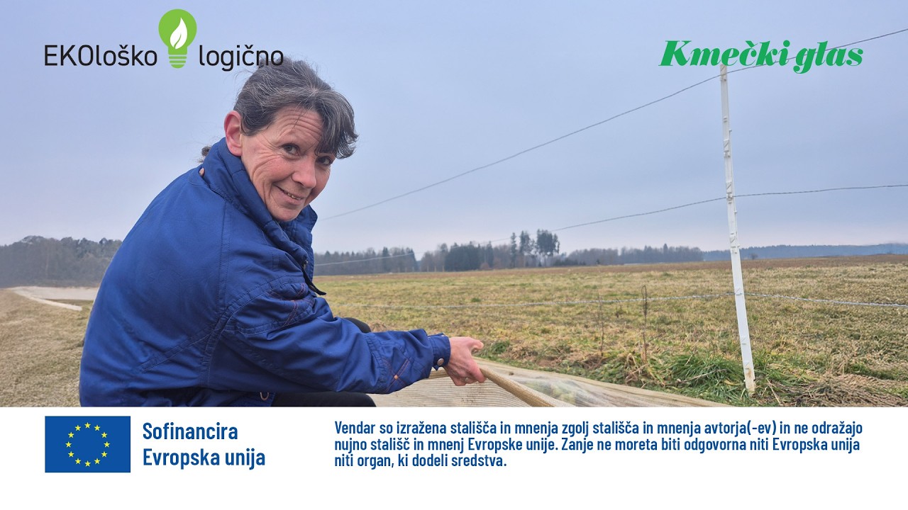 EKOloško = logično: kmetija NABERNIK