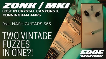 Cunningham Amps ZONK MKI — Lost in Crystal Canyons