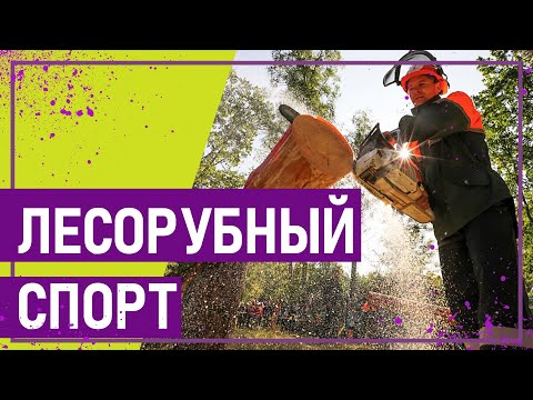 Вот это спорт! ЛЕСОРУБНЫЙ СПОРТ