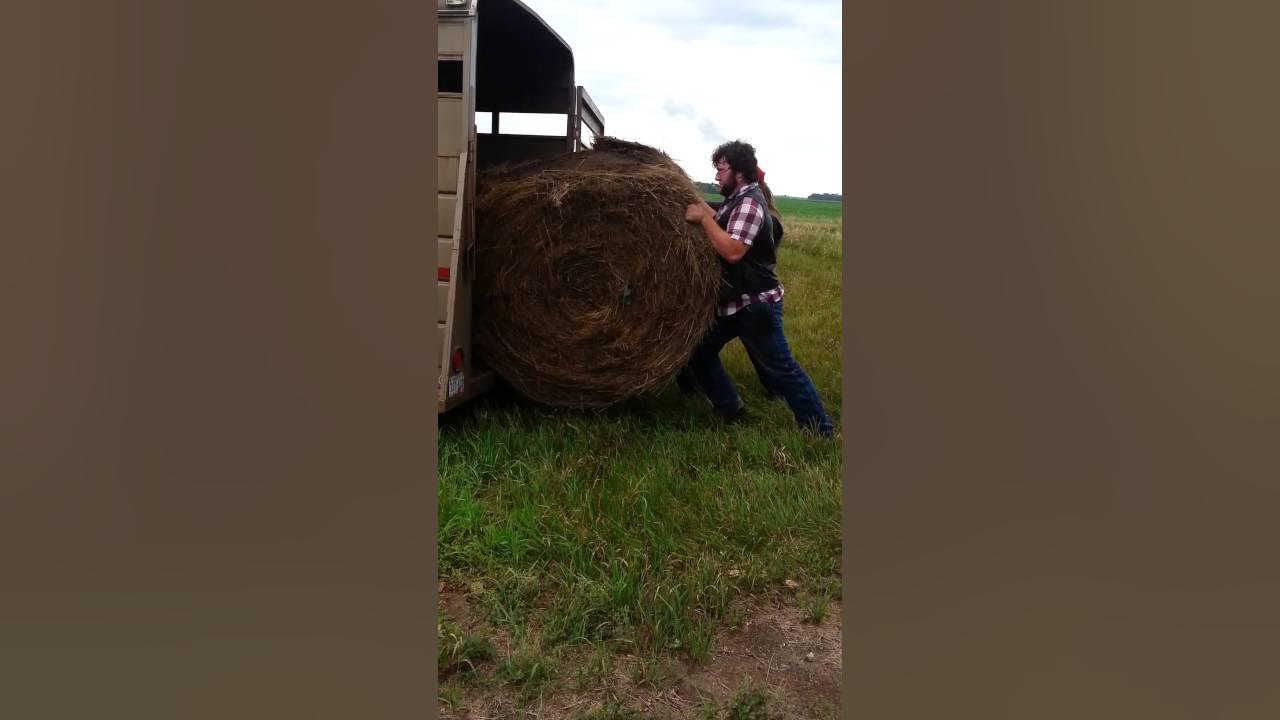 Loading round bales without a tractor YouTube