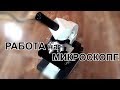 Работа на микроскопе. Как я это делаю.