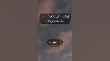 سورة فصلت الآية ٤٠ الى ٤٢ بصوت الشيخ محمد صديق المنشاوي