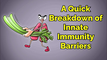 A Quick Breakdown of Innate Immunity Barriers (Step 1, COMLEX, NCLEX®, PANCE, AANP)