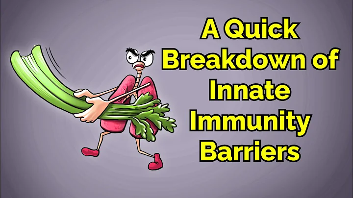 A Quick Breakdown of Innate Immunity Barriers (Step 1, COMLEX, NCLEX®, PANCE, AANP)
