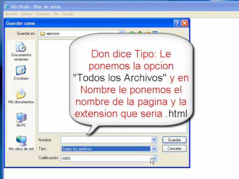 Palindrome.wmv