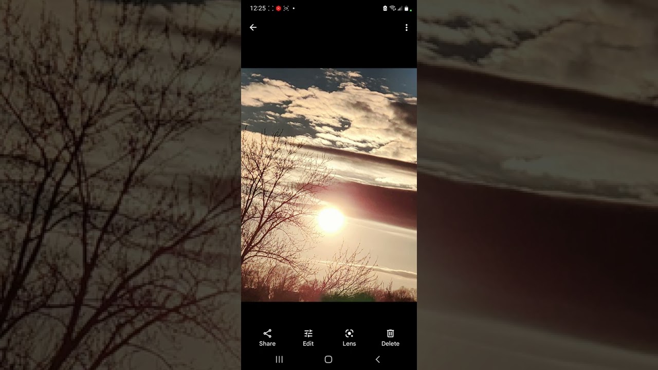 VISION: Green leaves turning into BLACK BRANCHES! (received prior to prophetic message on 4/17/22)