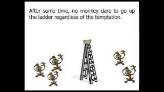 Five Monkeys and a Ladder - Famous Social Experiment
