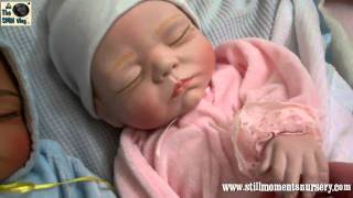 My Ashton Drake Porcelain Dolls - Nikki Holland vlog #79