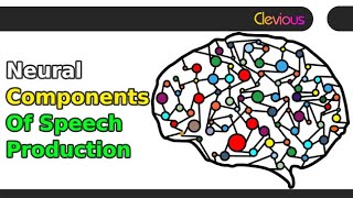 Psycholinguistics: Neural Components of Speech Production
