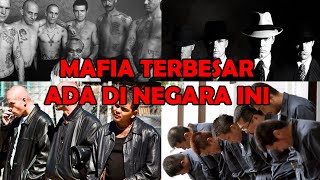 The Country with the Biggest Mafia! You'll Be Surprised to See Number One