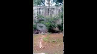 Among the first flight of my Quadcopter :P Preety hard crash!!!