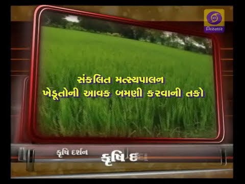 KRISHI DARSHAN - SANKALIT MATSYAPALAN - KHEDUTONI AAVAK BAMANI KARVANI TAKO - 14/10/2019 KRISHI DARSHAN - SANKALIT MATSYAPALAN - KHEDUTONI AAVAK BAMANI KARVANI TAKO - 14/10/2019