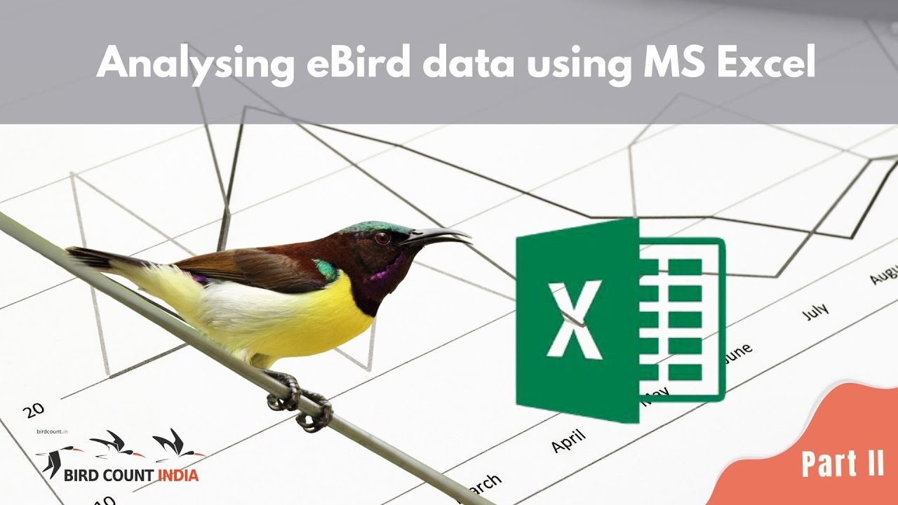 Analysing eBird data using MS Excel - Part 2