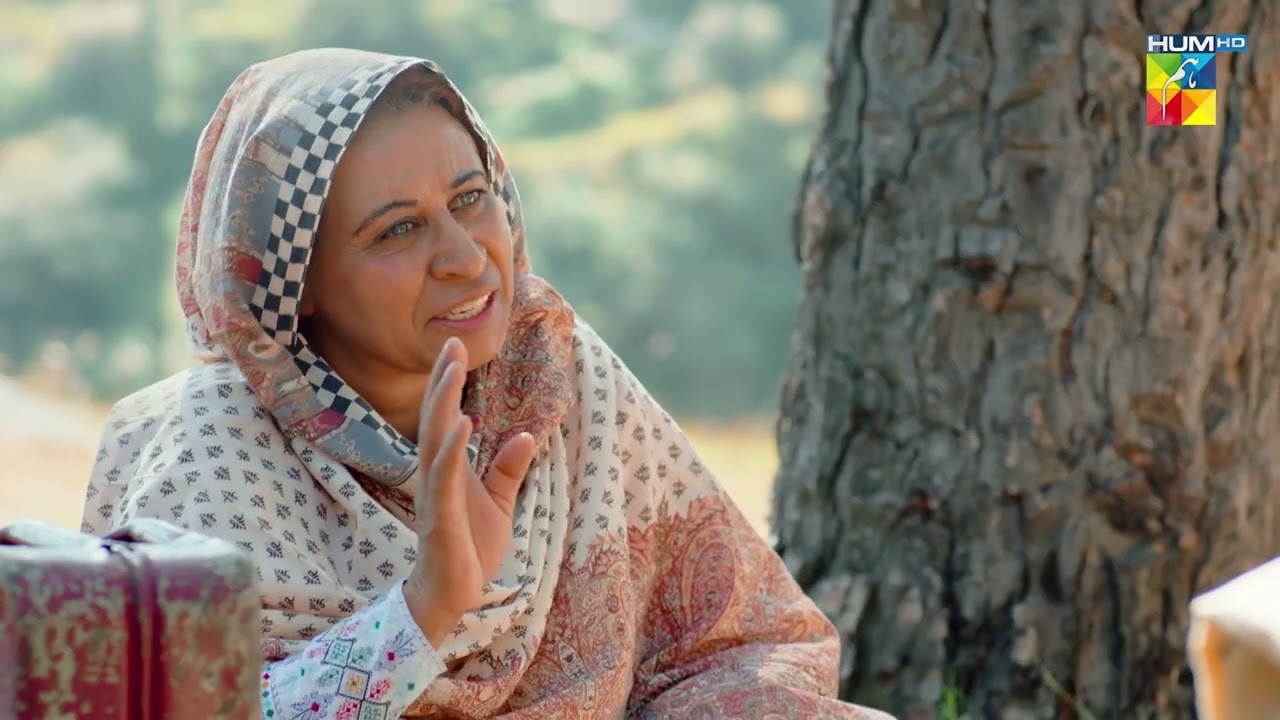 Sang-e-Mah Episode 22 | Top Moment | Hania Amir, Atif Aslam & And Kubra Khan ] HUM TV