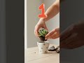 Convierte una suculenta en un recordatorio navideño en 1 minuto 🎄🌱