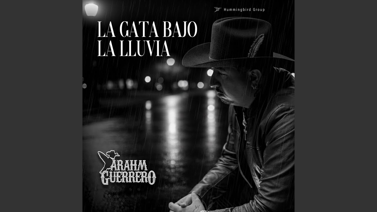 La Gata Bajo La Lluvia