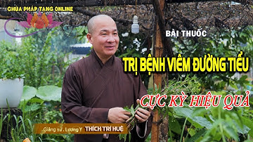 TRỊ VIÊM ĐƯỜNG TIỂU - CỰC KỲ HIỆU QUẢ || Lương Y. GS. Thầy Thích Trí Huệ
