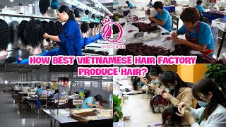 QUEEN HAIR FACTORY VIETNAM | Best Manufacturer in Processing Human Hair