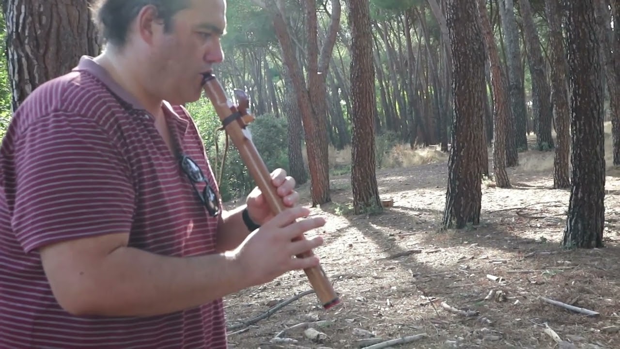 flauta nativa americana Improvisación en el bosque YouTube