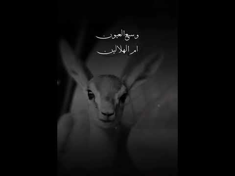 صغير عطاه الله من الزين 