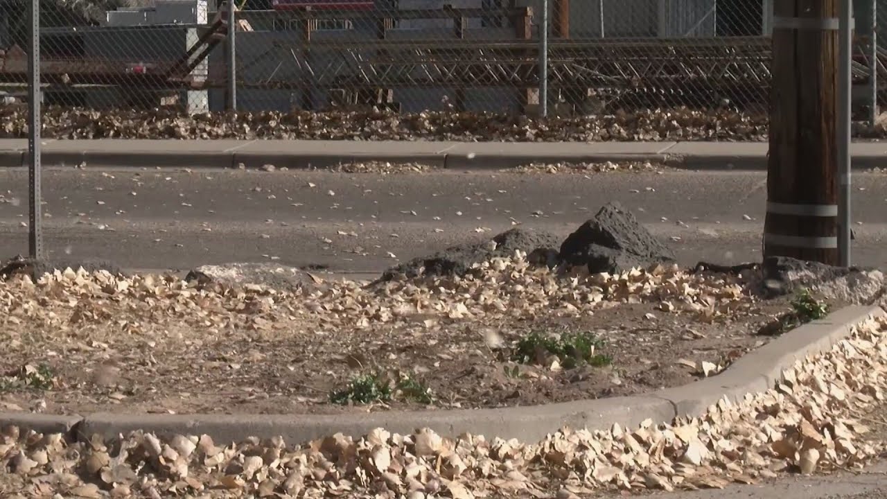 Strong winds have New Mexico agencies on high alert for fire threat ...