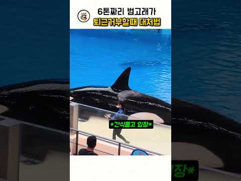 😭😭소리를 확인하지 마세욧!😭😭"Please do not check the sound."