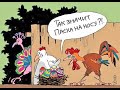 Охота на фазана, утку, кеклика 2020 с курцхааром, sülün avı, pheasant hunting, chasse au faisan
