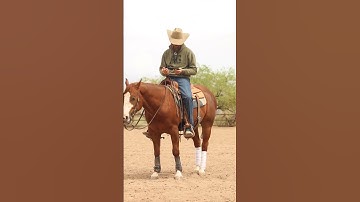 Let me know if you like this Run Review stuff. #reining #reiningmasterclass #horsetrainingtips