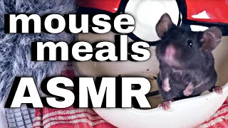 Fancy Mouse Meals ASMR | Sony PCM-D100 screenshot 2