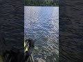 Fly Fishing Pass Lake