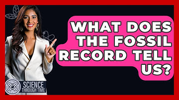 What Does The Fossil Record Tell Us? - Science Through Time