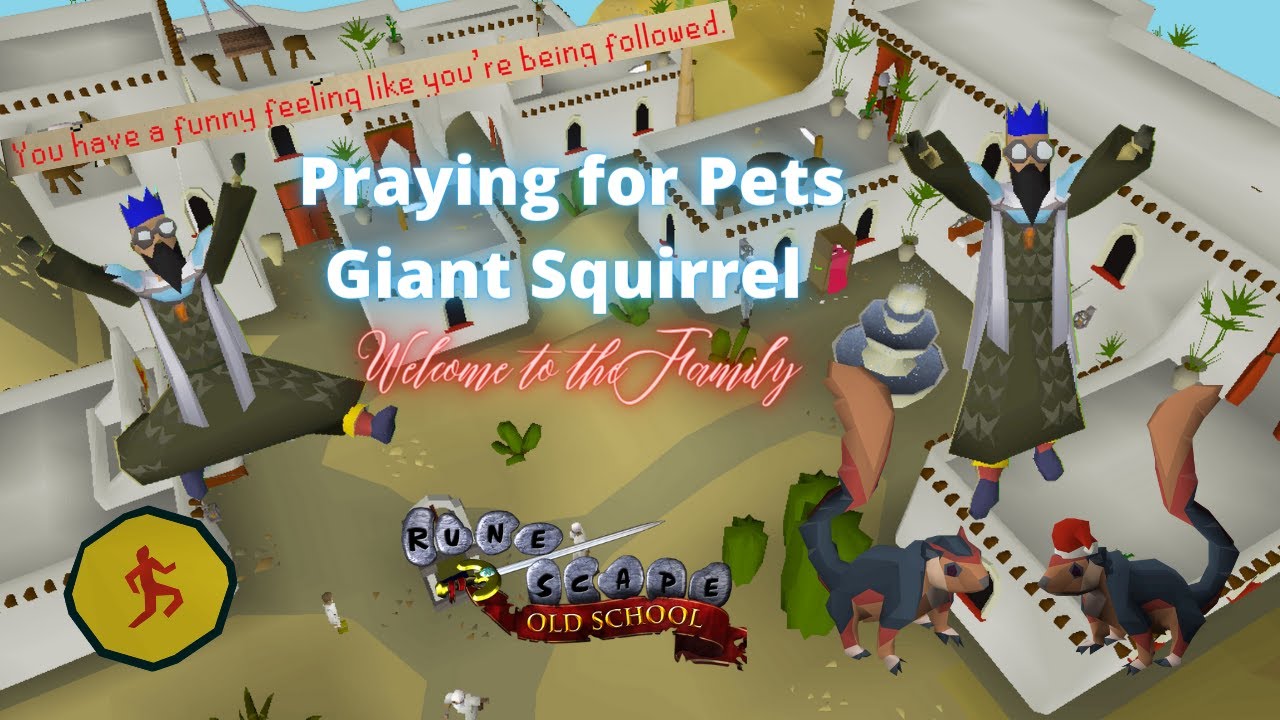 OSRS Giant Squirrel Pet, to the Family YouTube