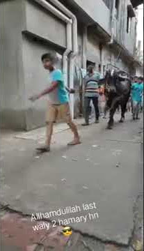 Shaikhon k janwar qurbani k liay2020😂😂...watch till end😂