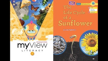 The Life Cycle of a Sunflower - myView 1st Grade, Unit 2, Week 2 - Read Along