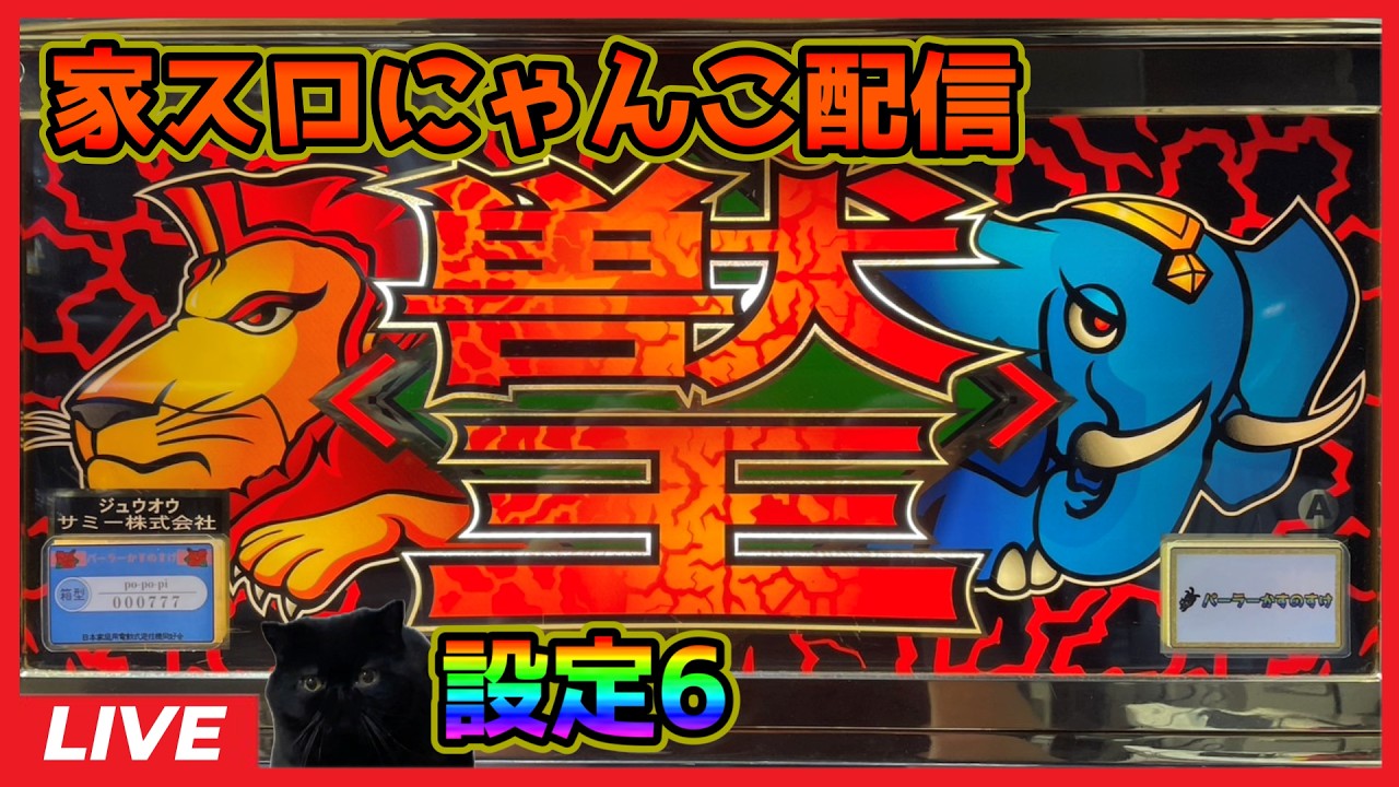 【家スロにゃんこ配信】ゴールド 獣王【設定6】#2