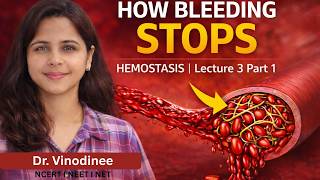 L-3 HEMOSTASIS (Blood Clotting) Part 1 Explained | How Bleeding Stops | NEET | NET | NCERT-Advanced