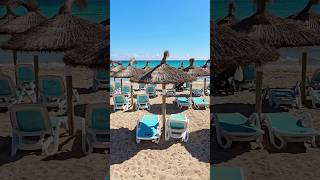 Download Lagu Can Picafort 🩵 Mallorca 🏝 #majorca #mallorca #paradise #mallorcalove MP3