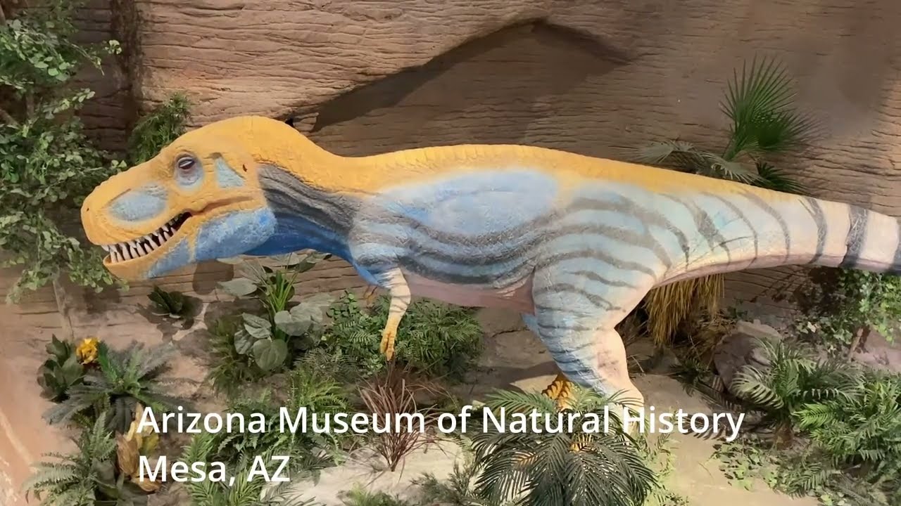 Arizona Museum Natural of History - Mesa, AZ