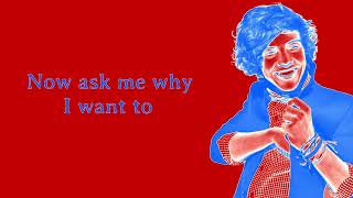 One Direction  Everything About You s  Pictures In Wanda Rabbit Major  Blue Highers