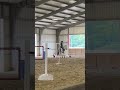 Working Equitation