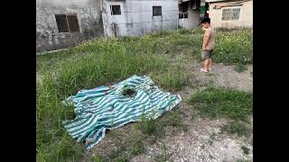 IMG 3904