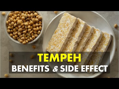Why Does Tempeh Taste Bitter