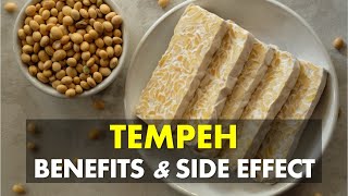 Tempeh Benefits and Side Effects, Is Tempeh Good For Gut Health