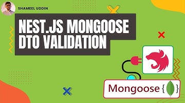 Nestjs Mongoose Tutorial #7 | DTO Validation